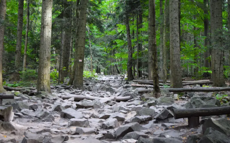 Aktywności na Świeżym Powietrzu